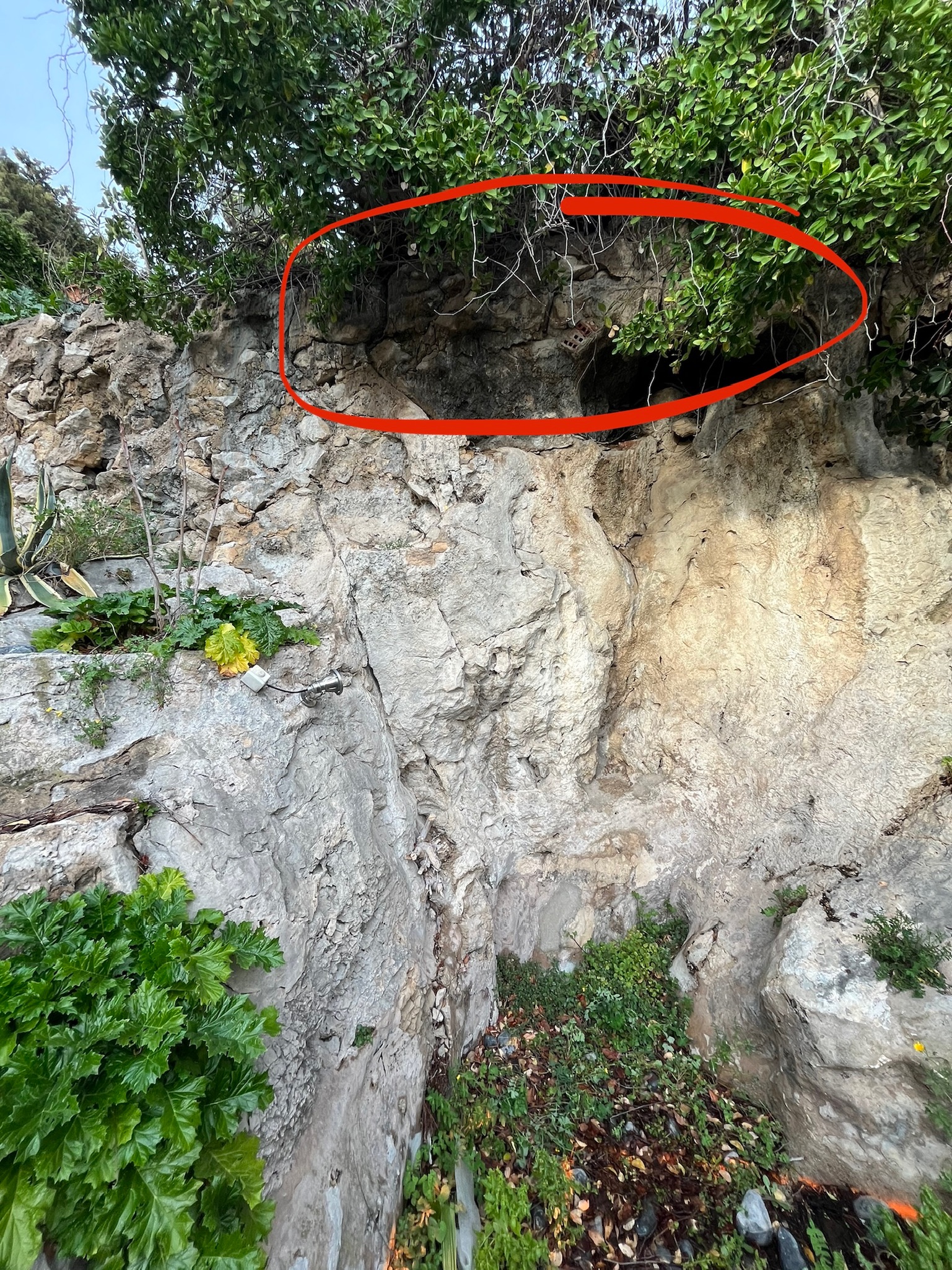 Chantier Roucas - Photo 28